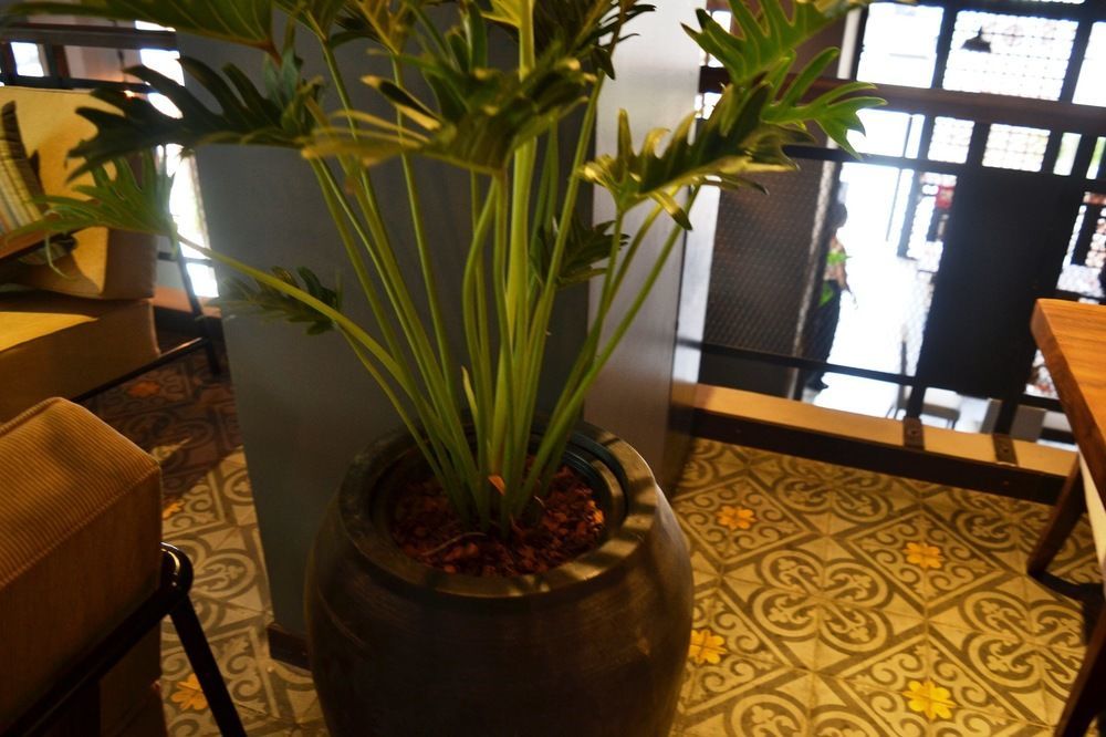 פנום פן Monsoon Bassac Hotel מראה חיצוני תמונה