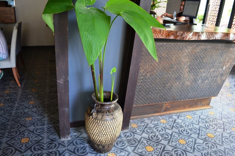 פנום פן Monsoon Bassac Hotel מראה חיצוני תמונה