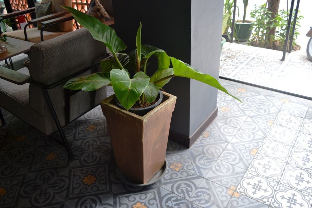 פנום פן Monsoon Bassac Hotel מראה חיצוני תמונה