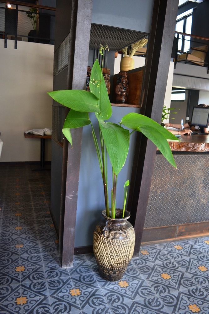 פנום פן Monsoon Bassac Hotel מראה חיצוני תמונה